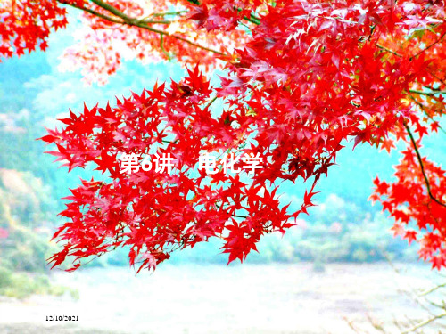 高考化学二轮复习第6讲电化学课件