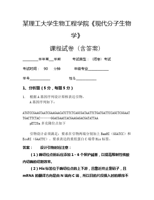 某理工大学生物工程学院《现代分子生物学》考试试卷(519)