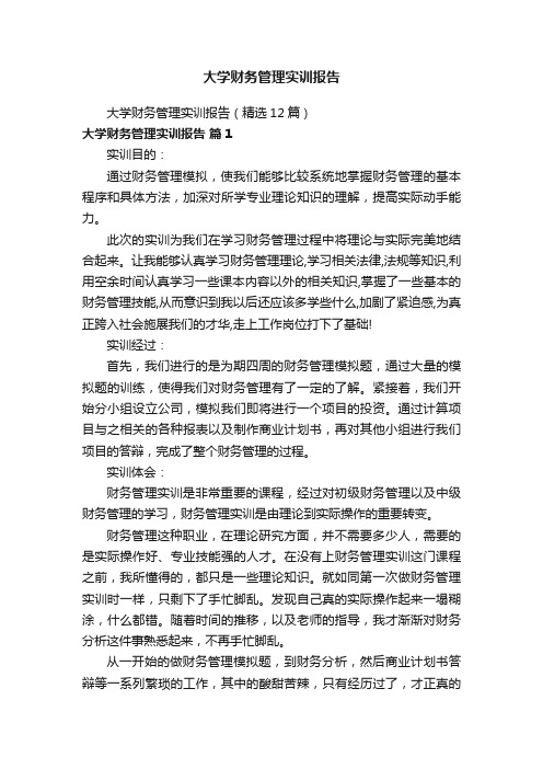 大学财务管理实训报告