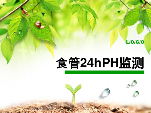 24hPH监测 PPT课件