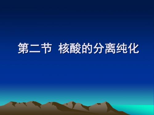 核酸的分离提取及纯化