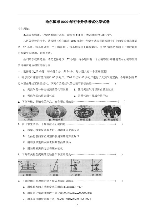 哈尔滨市2009年初中升学考试化学试卷