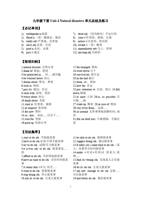 深圳牛津版初中英语九年级下册Unit4知识点语法精讲精练【全套4】