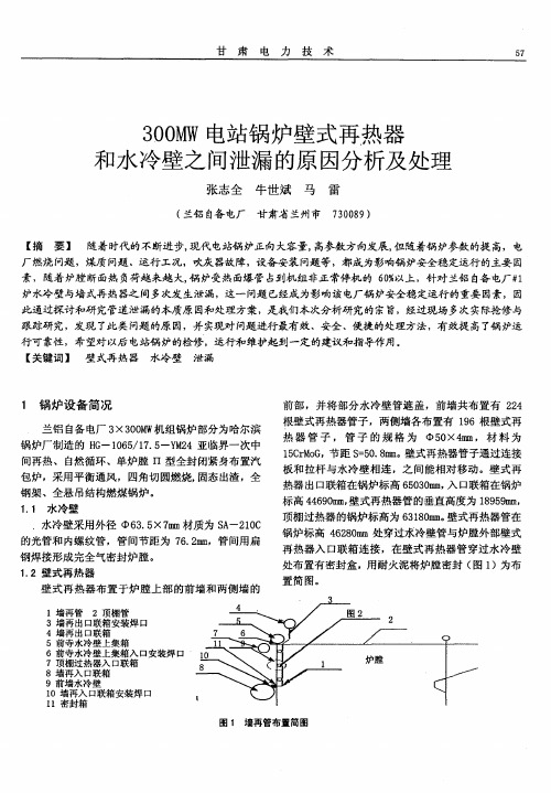 300MW电站锅炉壁式再热器和水冷壁之间泄漏的原因分析及处理