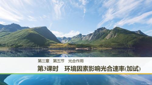 高中生物浙科版必修一课件：3.5.3 环境因素影响光合速率(加试)