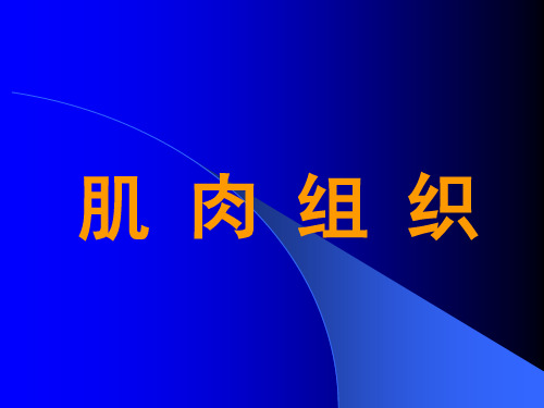 肌肉组织组织胚胎学上海交通大学精品PPT课件