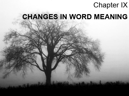 英语词汇学chapter9 Changes in word meaning