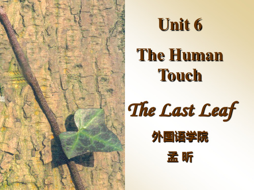 the last leaf 最后一片叶子