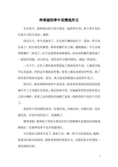 种美丽的牵牛花精选作文