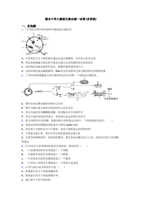 衡水中学人教版生物必修一试卷(含答案)