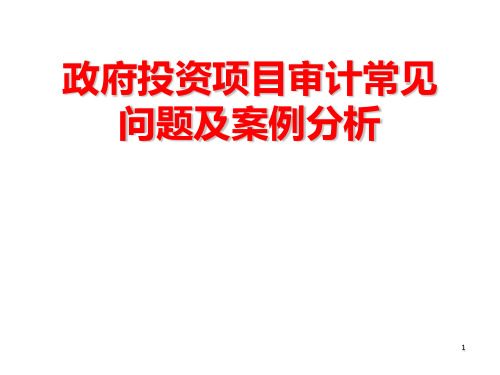 政府投资项目审计常见问题及案例分析