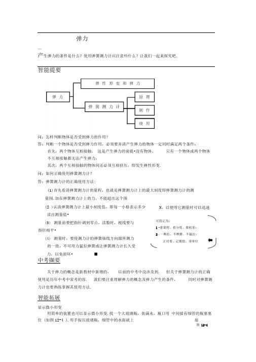 弹力同步辅导与训练