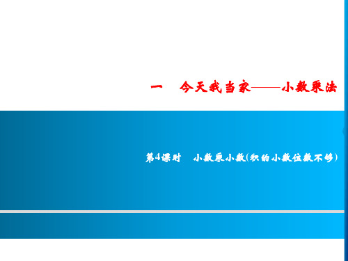 青岛版数学五上今天我当家——小数乘法 同步课件（8份)