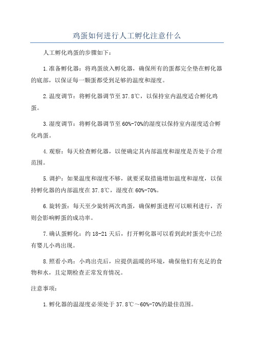 鸡蛋如何进行人工孵化注意什么