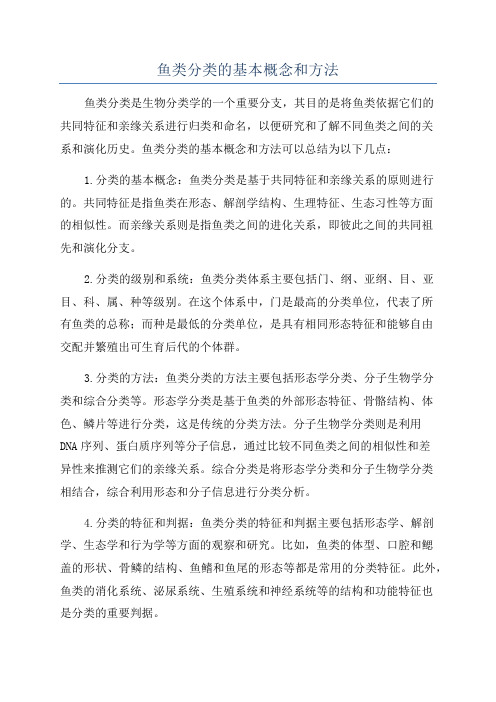 鱼类分类的基本概念和方法