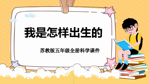 苏教版五年级全册科学《33我是怎样出生的》课件PPT模板