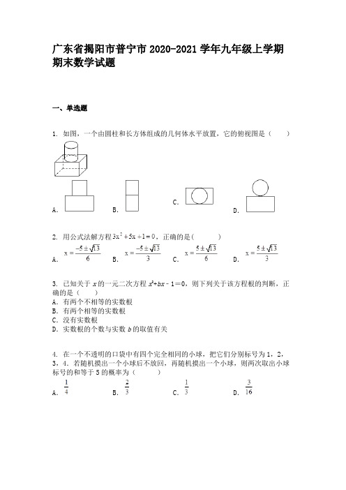 广东省揭阳市普宁市2020-2021学年九年级上学期期末数学试题