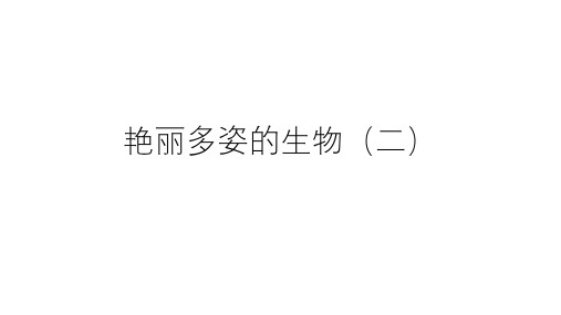 华师大版科学七上:艳丽多姿的生物