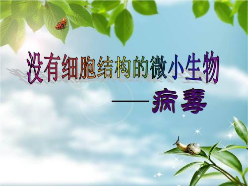 人教版初中生物2011课标版八年级上册第五单元第五章5.2病毒(共29张PPT)