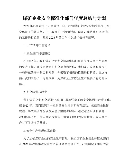 煤矿企业安全标准化部门年度总结与计划