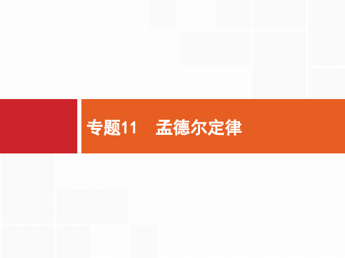 2018届浙江高考生物(选考)复习课件：11孟德尔定律