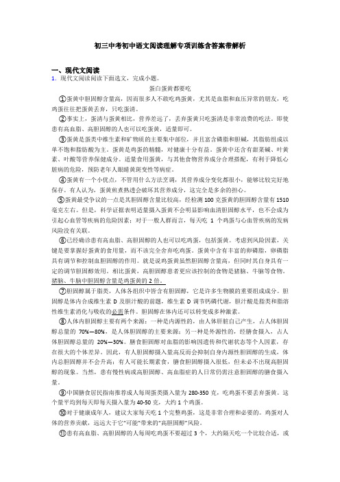 初三中考初中语文阅读理解专项训练含答案带解析