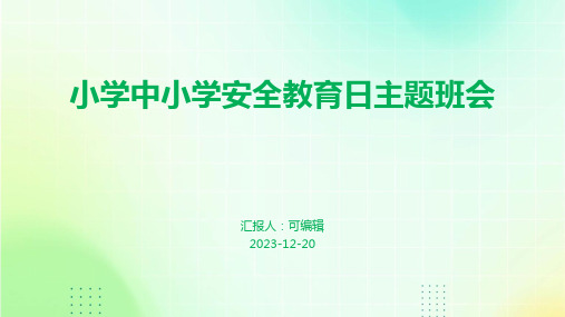 小学中小学安全教育日主题班会ppt