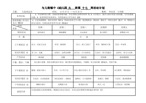 大班下学期第17周周计划表