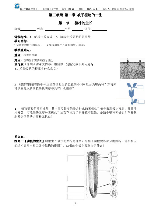 植株的生长   导学案