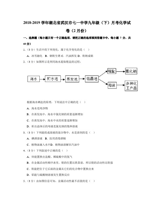 2018-2019学年湖北省武汉市七一中学九年级(下)月考化学试卷(2月份)(解析版)