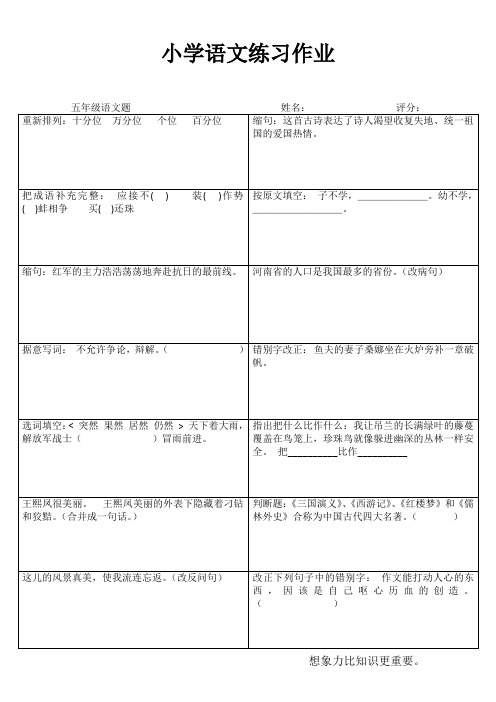 小学五年级语文精作细练III (23)