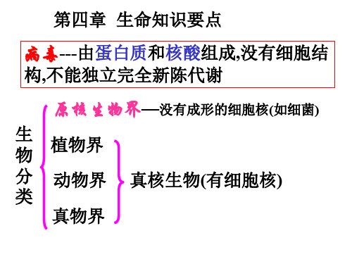 九年级科学生命科学复习(201910)