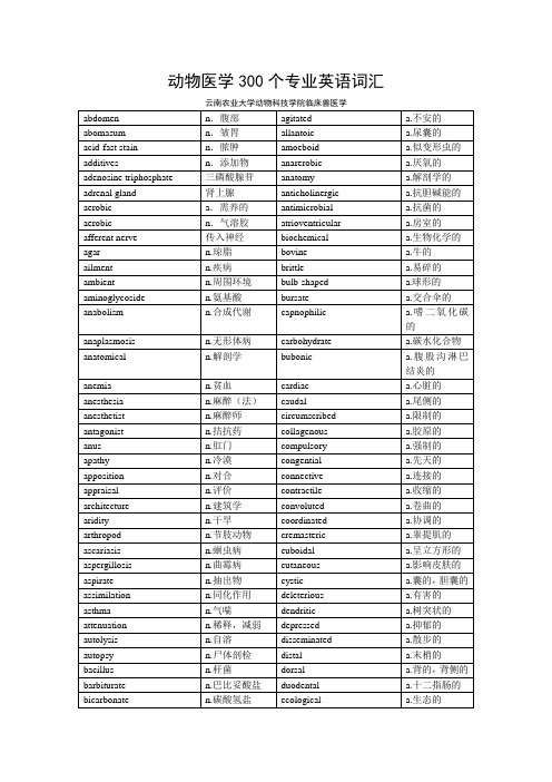 300 个 专 业 英 语 词 汇