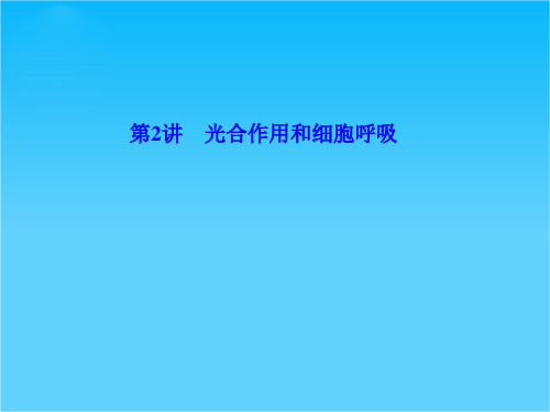 高考生物二轮专题复习 2.2 光合作用和细胞呼吸课件 新人教版