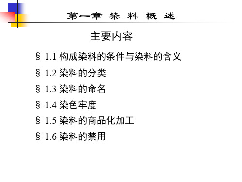 染料PPT