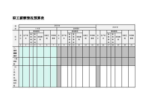 职工薪酬情况预算表