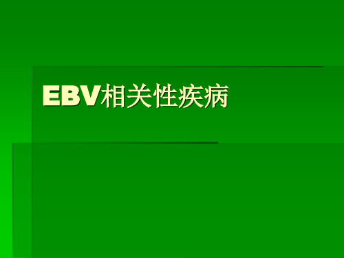 EBV相关性疾病