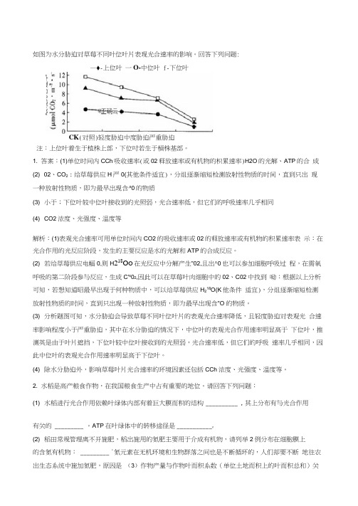 高中生物光合作用大题50道