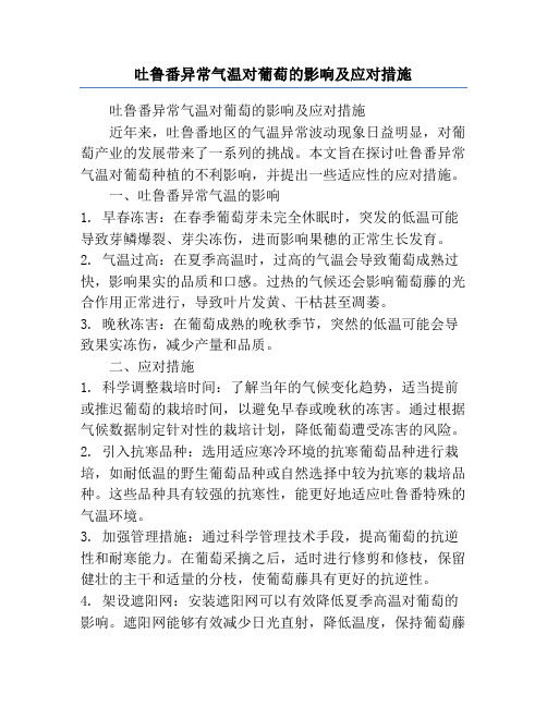 吐鲁番异常气温对葡萄的影响及应对措施