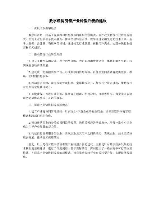 数字经济引领产业转型升级的建议