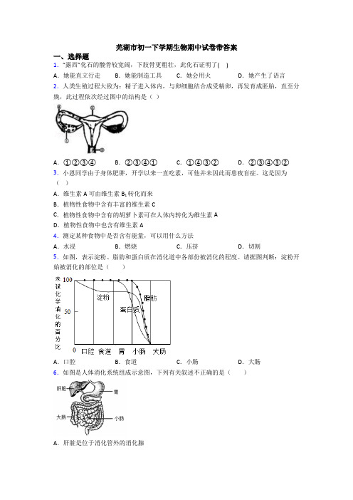 芜湖市初一下学期生物期中试卷带答案