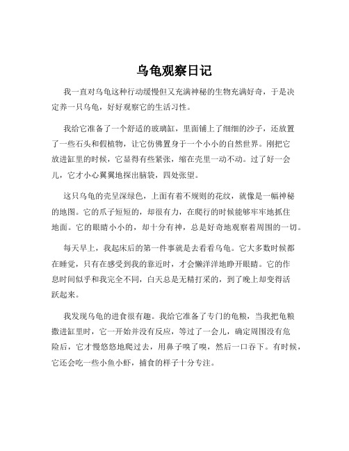 乌龟观察日记