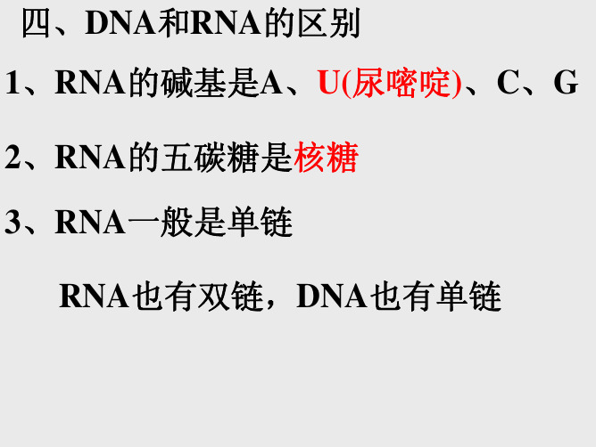 生物化学DNA和RNA的区别