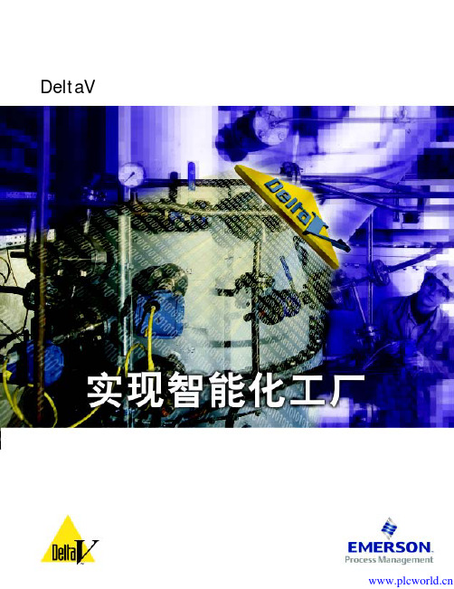 DeltaV系统