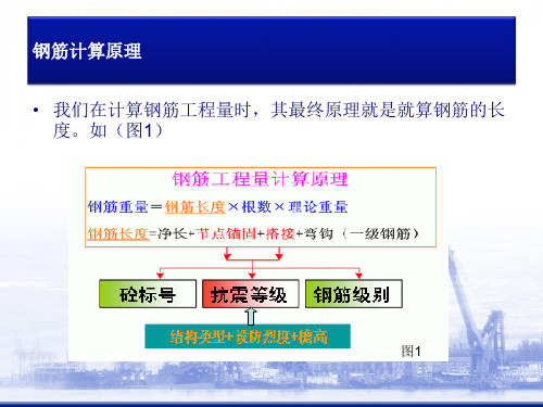 16G系列钢筋平法工程(图文详解)