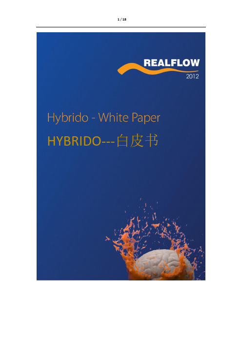 RealFlow Hybrido 白皮书中文版