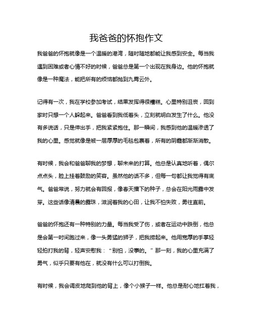 我爸爸的怀抱作文