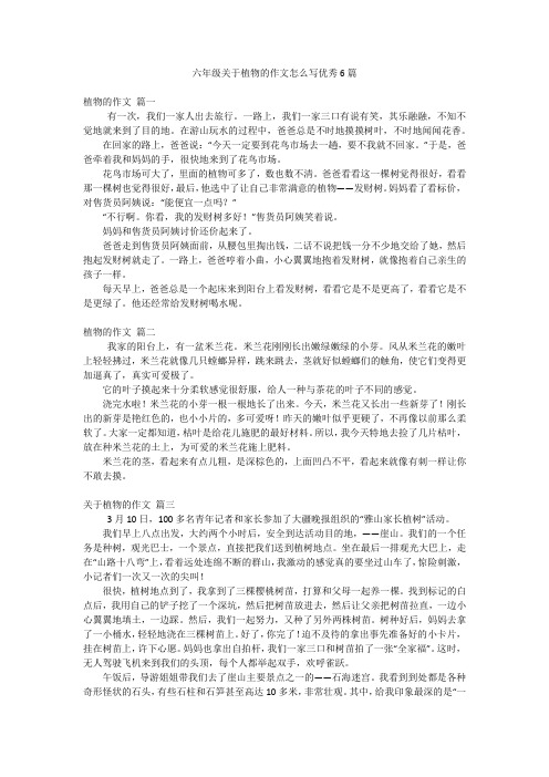 六年级关于植物的作文怎么写优秀6篇