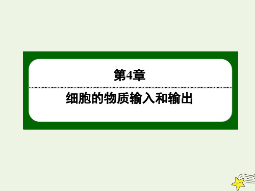 2021学年高中生物第4章细胞的物质输入和输出3物质跨膜运输的方式课件人教版必修1.ppt