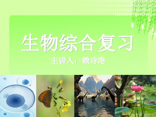 最新浙教版科学2020第二轮中考复习生物综合复习(32张PPT)教育课件